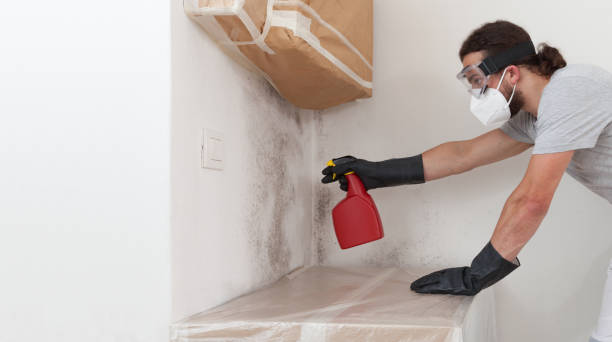 Professional Mold Removal technician working in Bulverde, TX